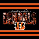 Cincinnati Bengals White Stripes Flag Outdoor Indoor 3x5 Foot Banner : Sports & Outdoors