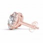 0.50 Ct Natural Round Cut Diamond Halo Stud Earrings in 10k Rose Gold