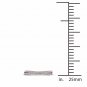 14k Rose Gold 0.23 Ct Diamond Cross-Over Fashion Engagement Wedding Ring HI I2