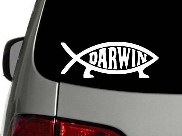 DARWIN EVOLUTION Vinyl Decal Sticker, high quality, white, CHOOSE SIZE