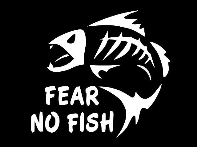 No fish перевод. Fear no Fish. Переводилка рыбы. Наклейка Размеры рыбы. Тату Fish no Fear.