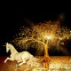 Fantasy