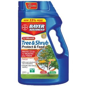 Bayer -Month Tree and Shrub Protect and Feed Granules, 3-Pound