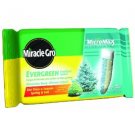 Miracle-Gro vergreen Tree Fertilizer Spikes, 12-Pack