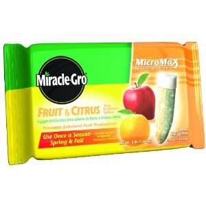 Miracle-Gro Fruit and Citrus Tree Fertilizer Spikes, 12-Pack