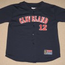 MLB Baseball Vintage Cleveland Indians Roberto Alomar #12 Sewn Jersey Large