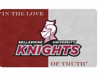 Bellarnime Knights Rubber Doormat
