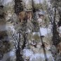 Clearwater Outfitters Men's Deer/Woods Button Down Cotton Shirt Sz M Pre-Owned