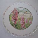 Majolein Bastin By Hallmark Birds/Bees/Flowers 8 in. R. Ceramic Dessert Plate NW