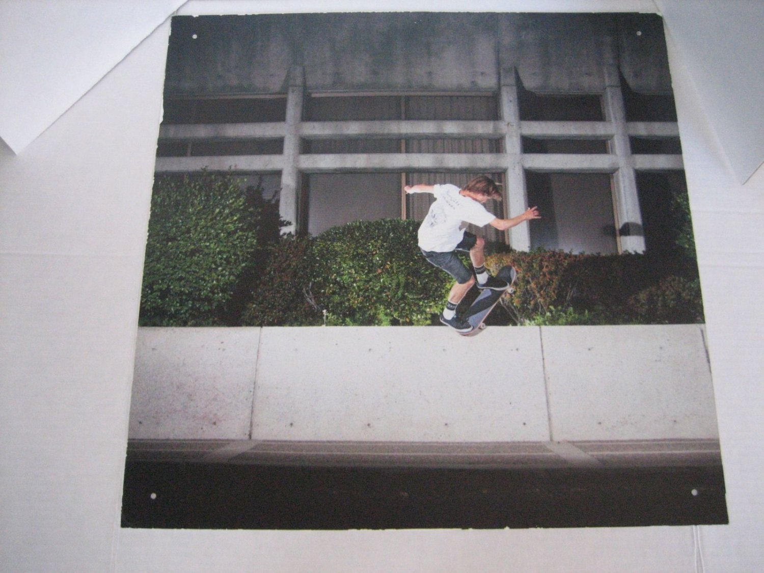 Vans Skateboarder Picture Large Plastic Store Display 19x19 in. Square Pre-Owned