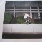 Vans Skateboarder Picture Large Plastic Store Display 19x19 in. Square Pre-Owned