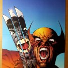 X-Men Wolverine vs Hulk 340 Marvel Comics Poster by Joe Quesada