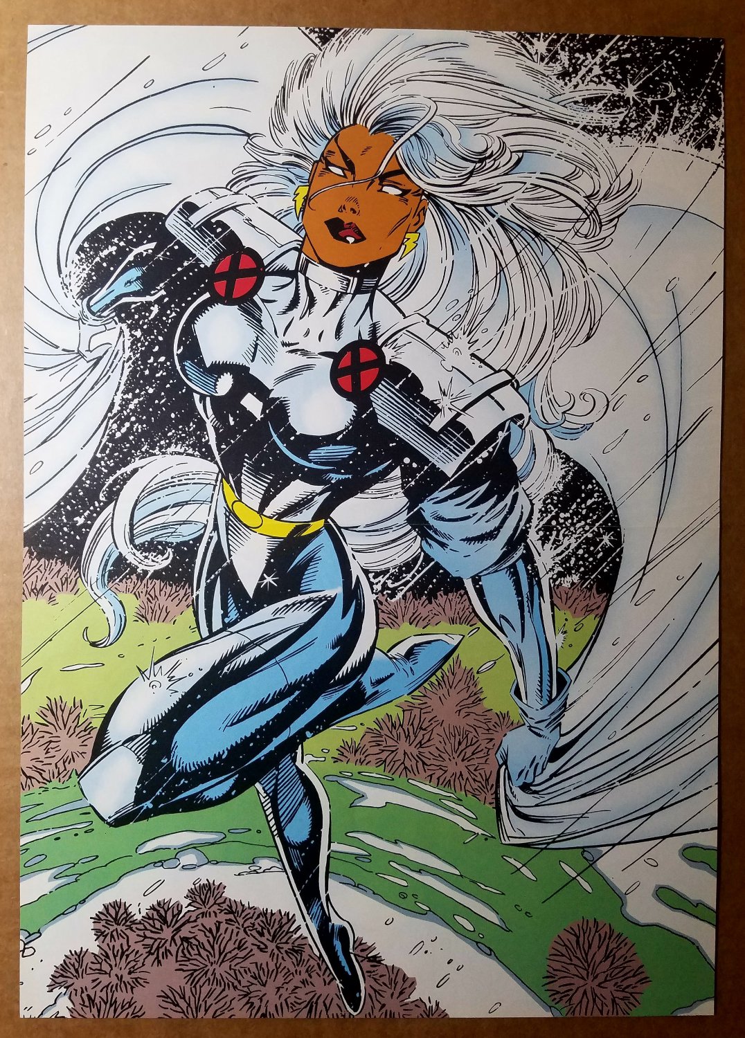 Storm Ororo Munroe Marvel Comics Poster by Jim Lee