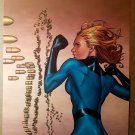 Invisible Woman Marvel Comics Poster by Steve McNiven