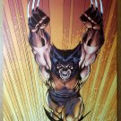 Wolverine Logan jumping Marvel Comics Poster by Jim Lee Wolverine Logan jumping Marvel Comics Poster by Jim Lee