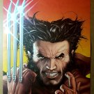 Wolverine Come Here Marvel Comics Poster by Steve McNiven