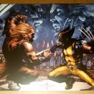 Wolverine Vs Sabretooth X-Men Marvel Comics Poster by Simone Bianchi