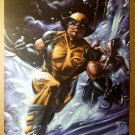 Wolverine Daken X-Men Marvel Comics Poster by Doug Braithwaite