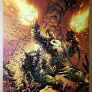 Wolverine Punisher Marvel Comics Poster by Mike Deodato Jr