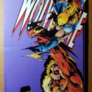 Wolverine Vs Sabretooth X-Men Marvel Comics Poster by Adam Kubert