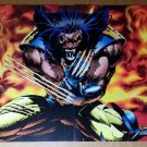 Wolverine Broken Claws Fire Marvel Comics Poster by Adam Kubert