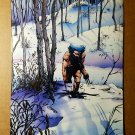 Wolverine Forest snow X-Men Marvel Comics Mini Poster by Barry Windsor-Smith Wolverine Forest snow X-Men Marvel Comics Mini Poster by Barry Windsor-Smith