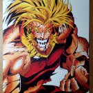 Sabretooth Wolverine Marvel Comics Poster by Joe Madureira