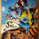 Wolverine Vs Sabretooth Marvel Comics Poster by Andy Adam Kubert