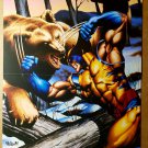 Wolverine fights Grizzly Bear Marvel Comics Poster by Nelson