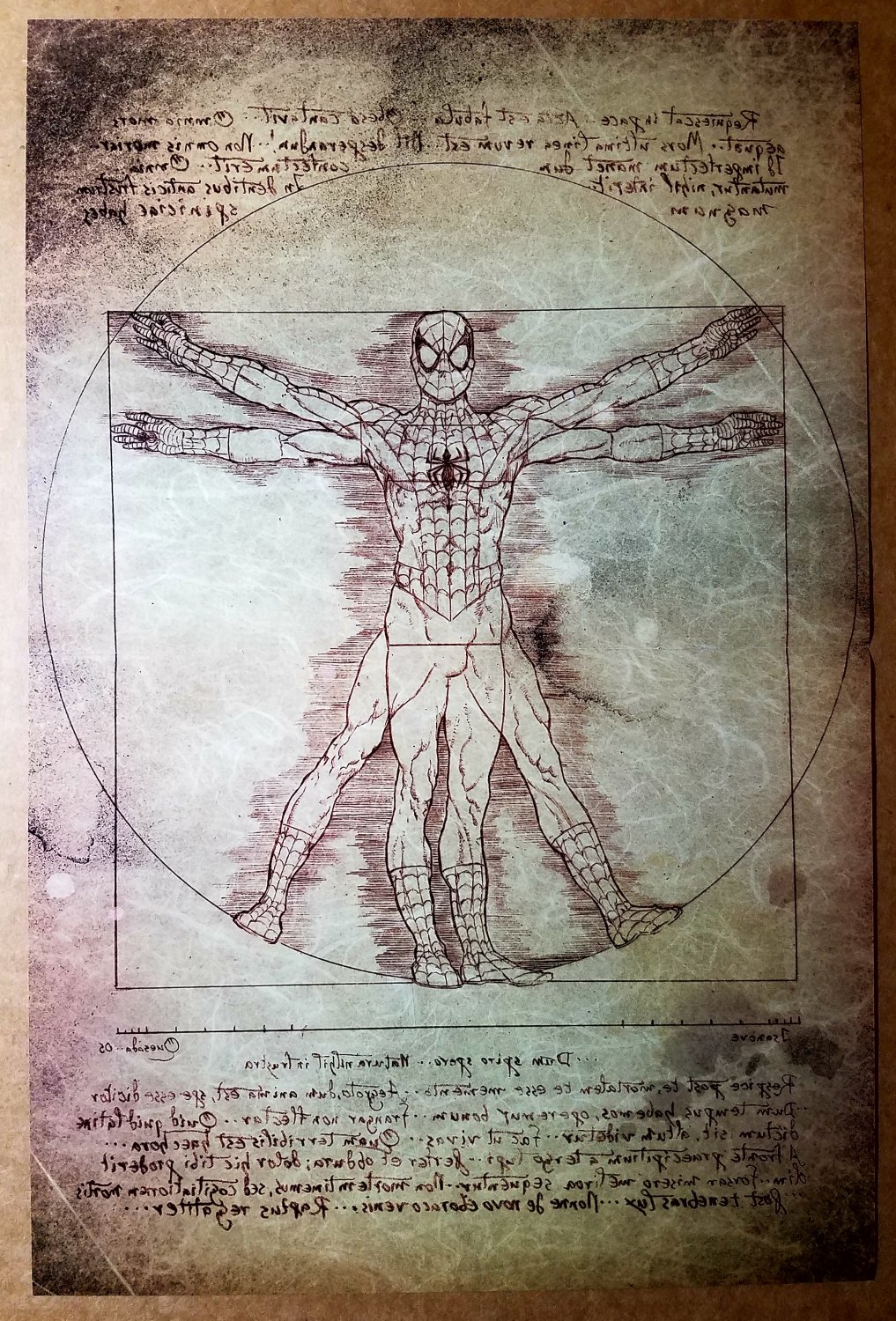 Spider-Man The Other Vitruvian Marvel Comics Poster by Joe Quesada