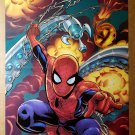 Spider-Man Marvel Comics Poster by Mike Wieringo