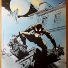 Web of Spider-Man Black Costume Marvel Comics Poster by Charles Vess Web of Spider-Man Black Costume Marvel Comics Poster by Charles Vess