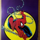 Amazing Spider-Man Marvel Comics Poster by Todd McFarlane