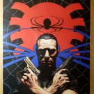Punisher Spider Spider-Man Marvel Comics Poster by Tim Bradstreet