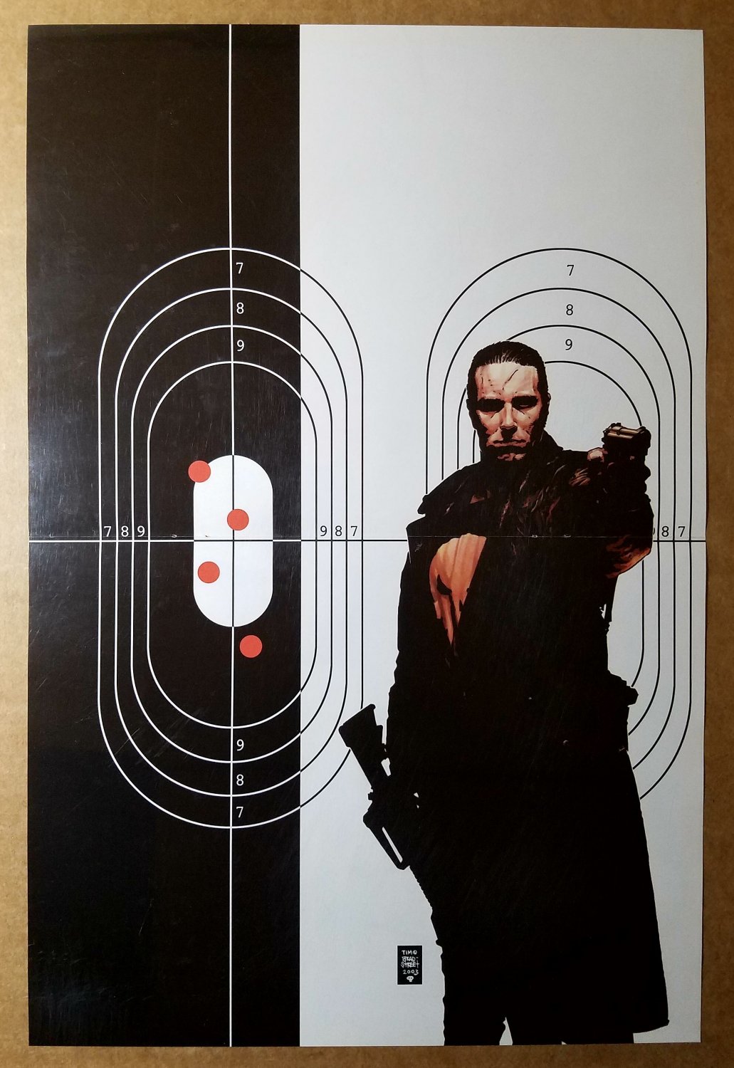 Punisher Target Practice Marvel Comics Poster by Tim Bradstreet Marvel