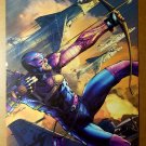 Hawkeye Marvel Comics Poster by Brandon Peterson