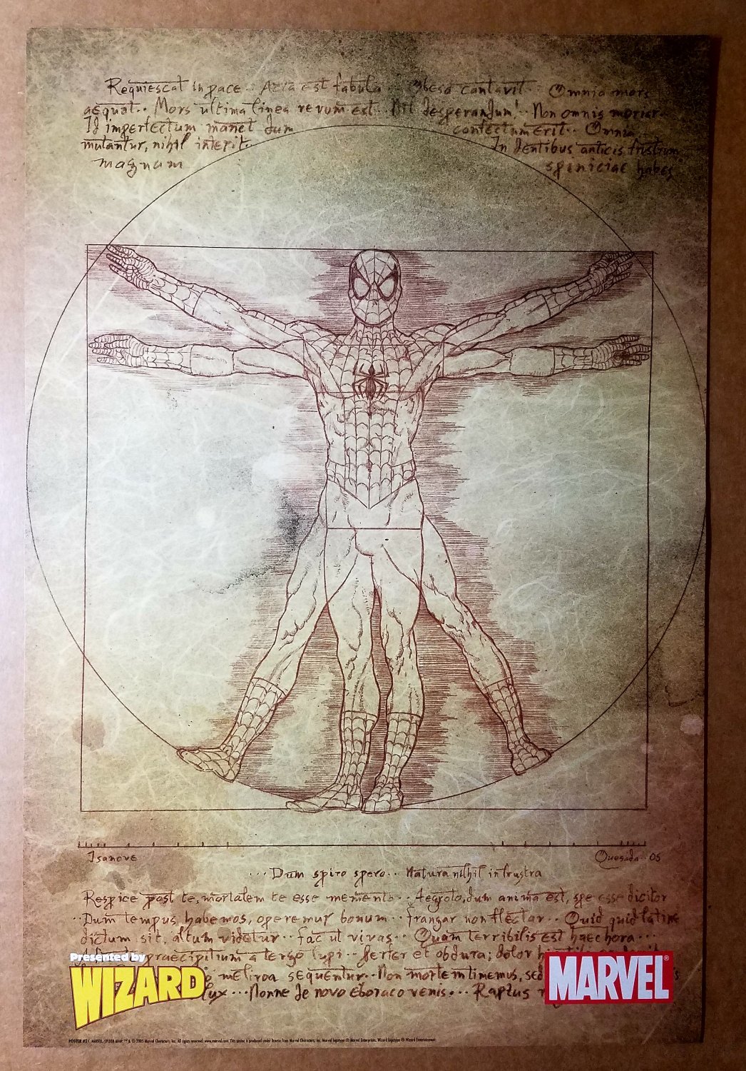 Spider-Man Vitruvian Marvel Comics Poster by Joe Quesada
