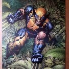 Wolverine Marvel Comic Poster by David Finch