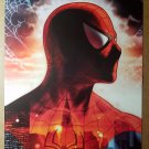 Spider-Man Marvel Comics Poster by Shinkiro