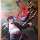 Spider-Man Octopus Marvel Comic Poster by Kaare Andrews Spider-Man Octopus Marvel Comic Poster by Kaare Andrews