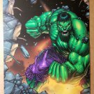 Hulk Marvel Comics Poster by Dale Keown