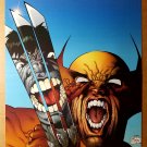 Wolverine Hulk 181 Marvel Comics Poster by Joe Quesada