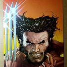 Wolverine Marvel Comics Poster by Steve McNiven Wolverine Marvel Comics Poster by Steve McNiven
