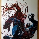 Venom Vs Carnage Amazing Spider-Man Marvel Comics Poster by Clayton Crain