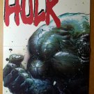 Incredible Hulk Avengers Marvel Comics Poster by Mike Deodato