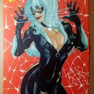 Black Cat Spider-Man Marvel Comics Poster by Terry Dodson
