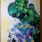 Incredible Hulk Avengers Bruce Banner Marvel Comic Poster by Ed McGuinness