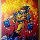 Wolverine on fire bullets Marvel Comics Poster by Sean Chen Wolverine on fire bullets Marvel Comics Poster by Sean Chen