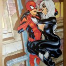 Black Cat Spider-Man Marvel Comics Poster by Terry Dodson