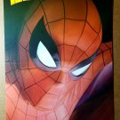 Spider-Man Marvel Comics Poster by Alex Ross